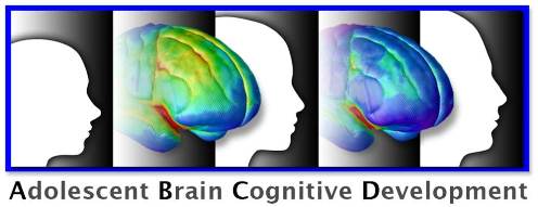 ABCD Study Logo with brain and head profiles
