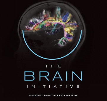 The Brain Initiative - National Institutes of Health, shows brain wiring diagram