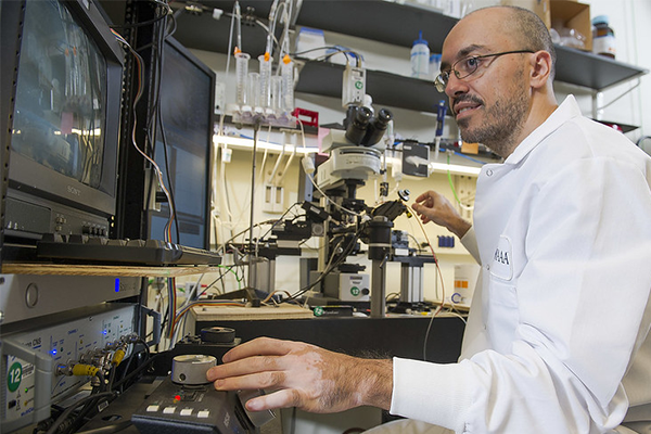 Martín Adrover measures dopamine release from neurons in live brain tissue under a microscope 