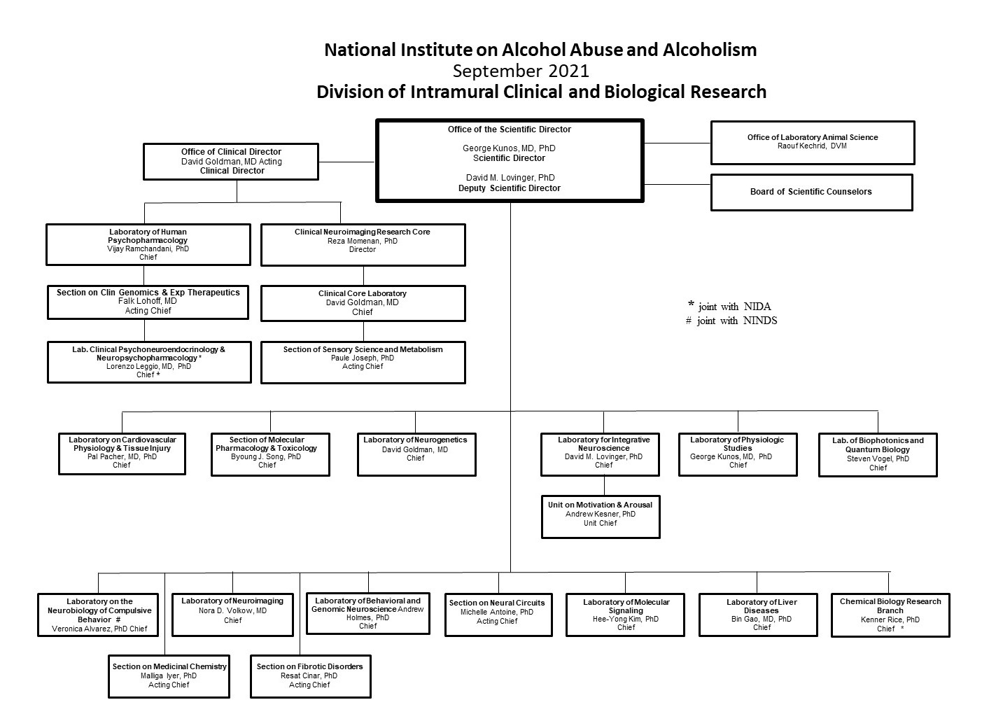 NIAAA DICBR Organizational Chart.   An accessible text version is under full text