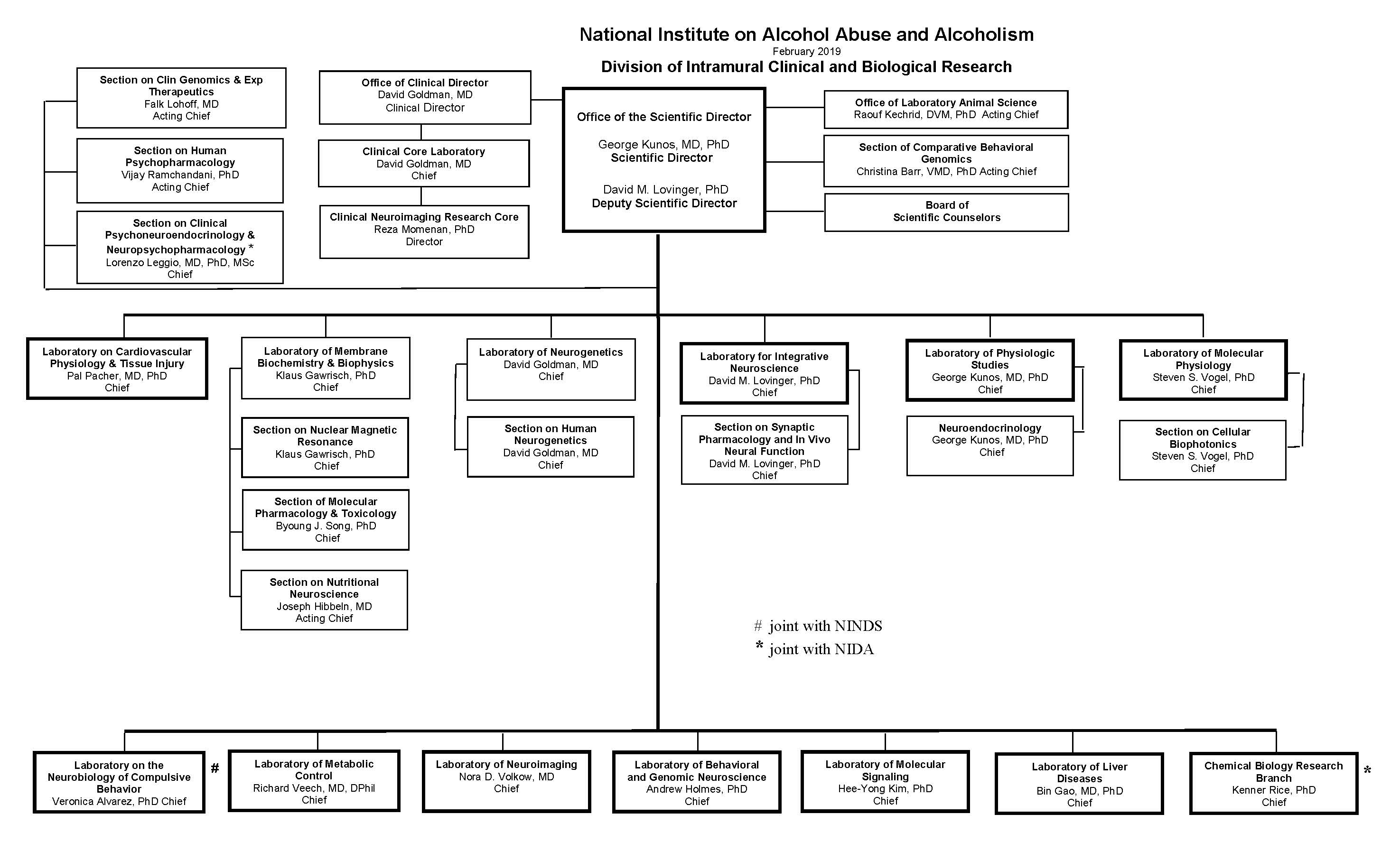 Clinical Research Org Chart