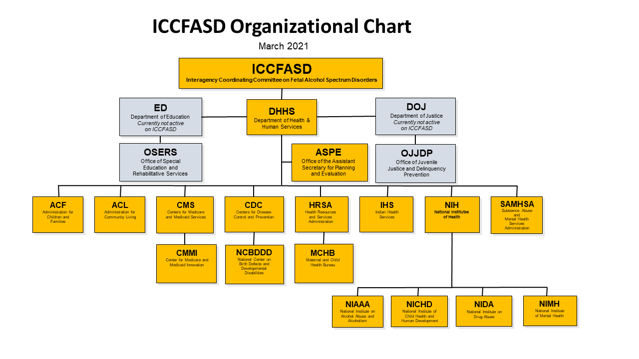 Agencies that are represented within ICCFASD