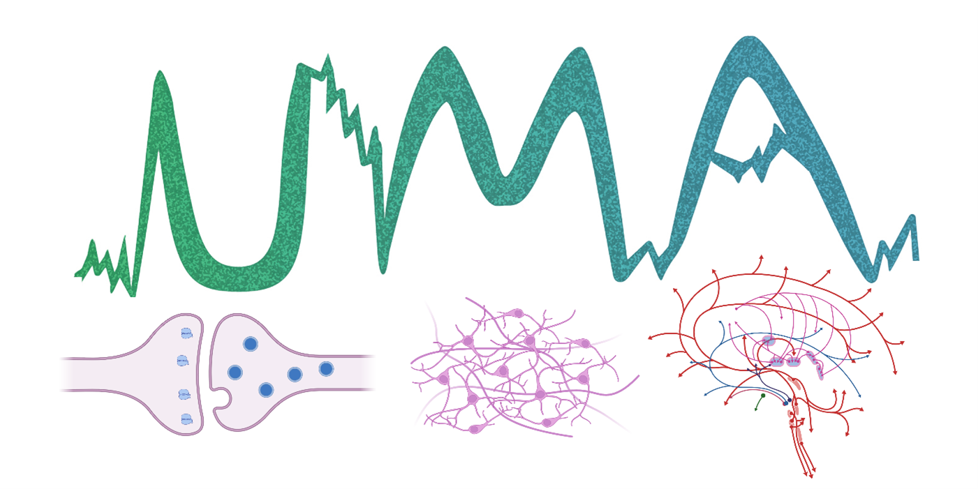 Alt Text: Laboratory Logo for Unit on Motivation and Arousal. Colorful signals forming the letters “U” “M” “A”. Beneath are cartoons of 1) a synapse, 2) a neural network, and 3) a set of neural pathways in the shape of a brain.