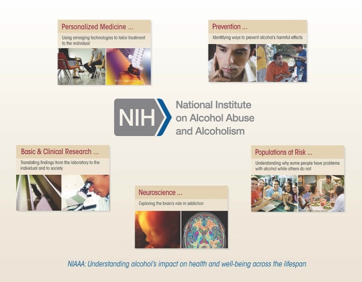 Image showing NIAAA areas of focus: personalized medicine, prevention, basic and clinical research, neuroscience, and population of
