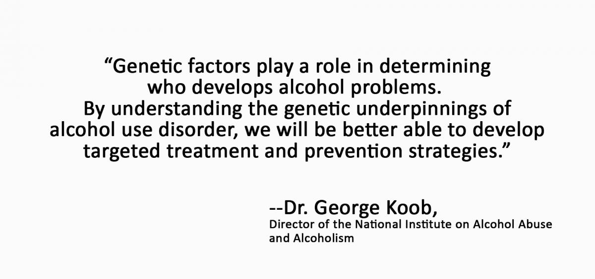 Genetic factors play a role in determining who develops alcohol problems, said Dr. Koob.