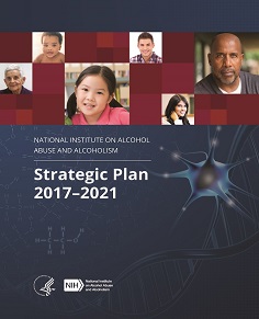 Strategic Plan 2017 to 2021