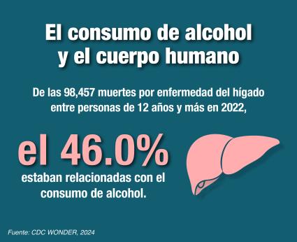 El consumo de alcohol y el cuerpo humano. De las 100,530 muertes por enfermedad del hígado entre personas de 12 años y más en 2021, el 47.4% estaban relacionadas con el consumo de alcohol. Fuente: CDC Wonder, 2022 