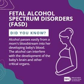 Fetal Alcohol Spectrum Disorders (FASD). Did You Know? Alcohol passes easily from a mom's bloodstream into her developing baby's blood. The alcohol can interfere with the development of the baby's brain and other critical organs.