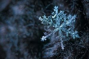 Close up image of snowflake 